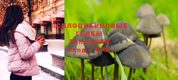 прущий лед Рославль