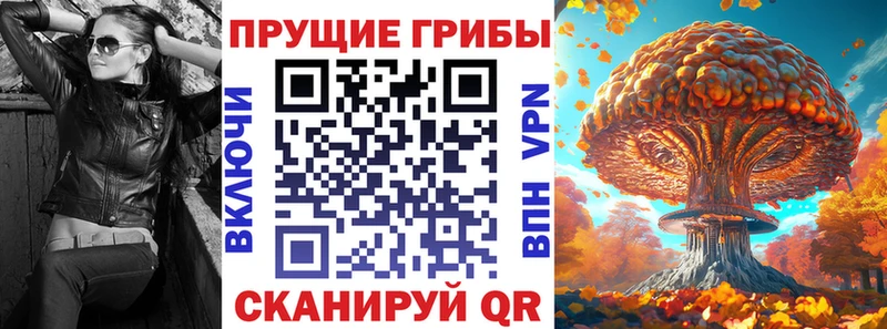 Галлюциногенные грибы Cubensis  shop телеграм  Чебаркуль  MEGA ТОР 