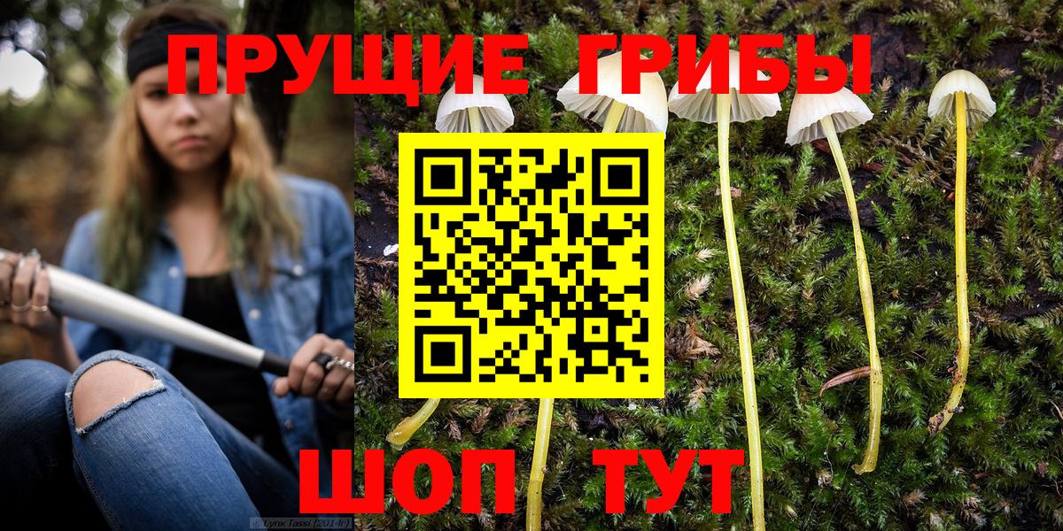 Псилоцибиновые грибы Psilocybe Чебаркуль