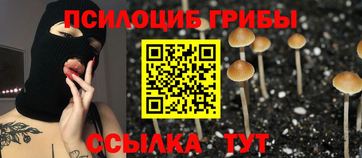 Чебаркуль  Галлюциногенные грибы мицелий  хочу   Вход с VPN 